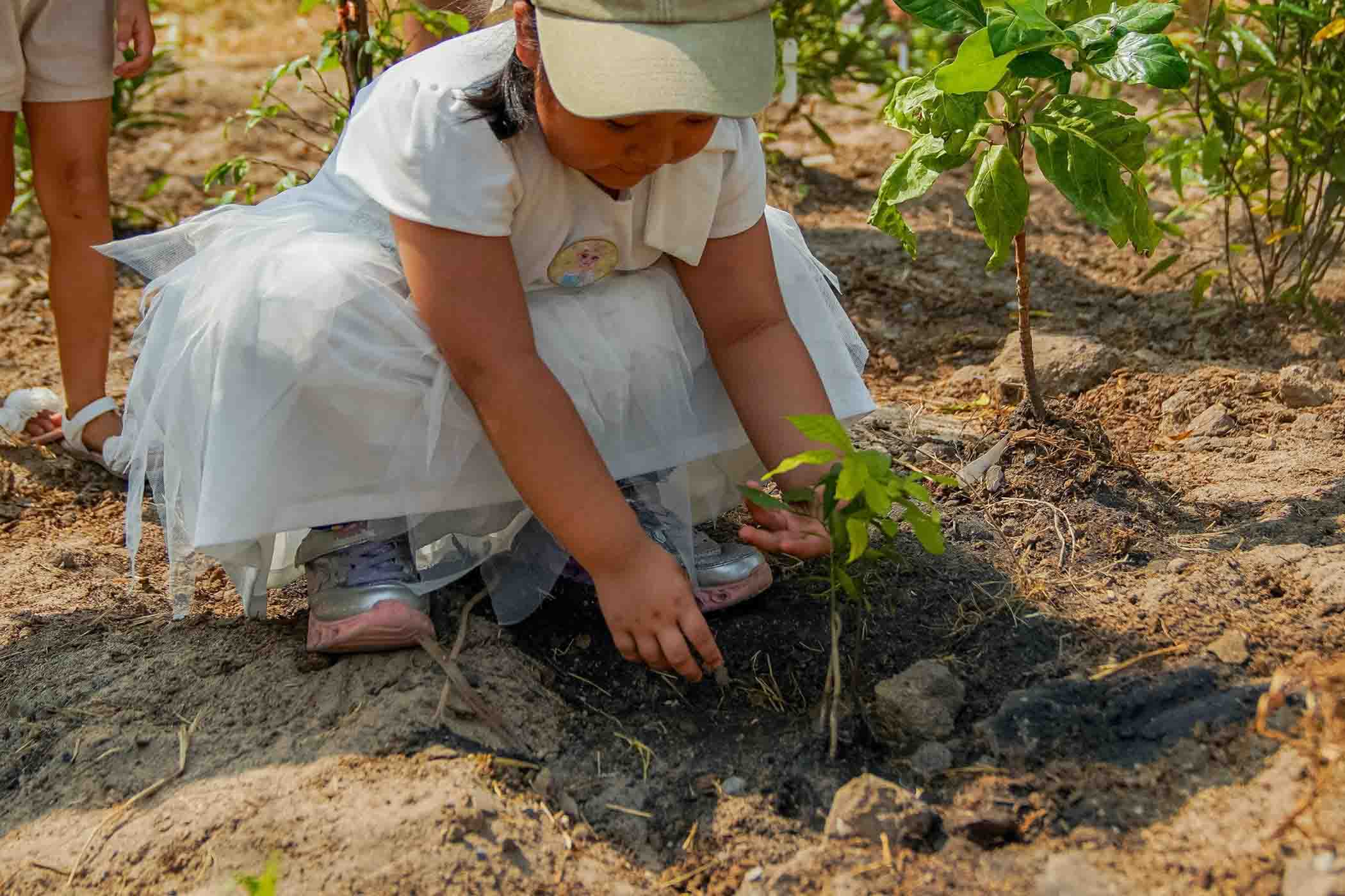 stay for good phuket silk kindergarten children planting tree
