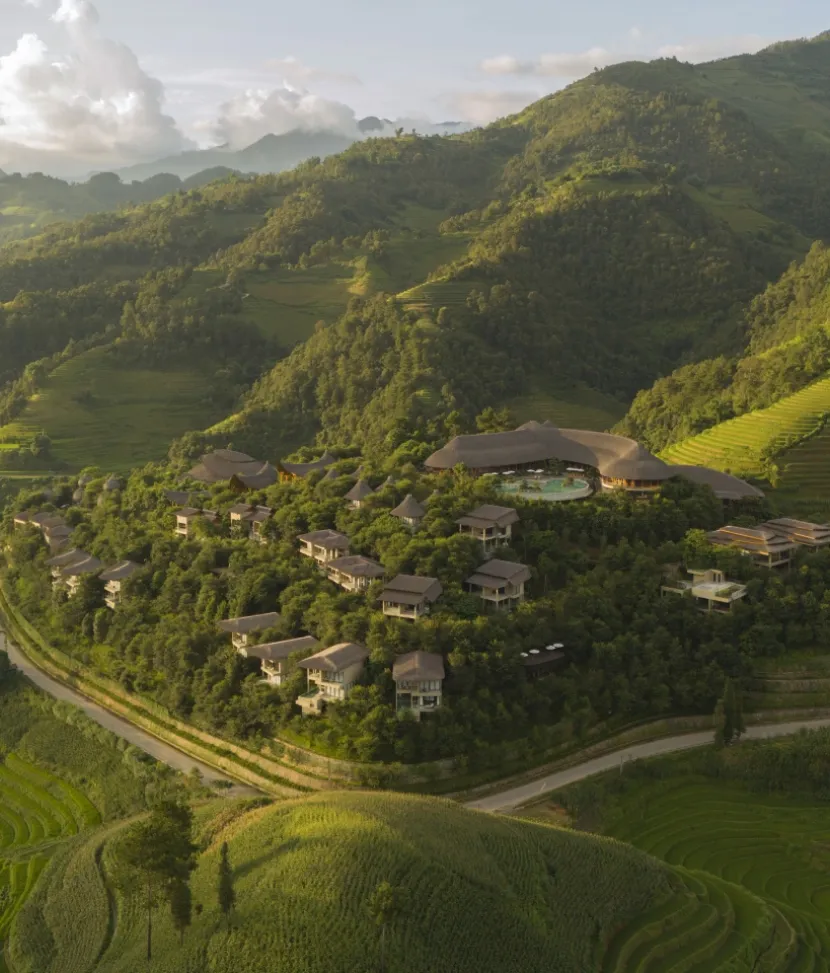 Garrya Mu Cang Chai