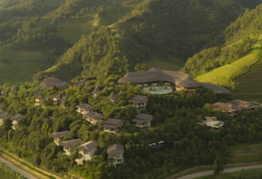 Garrya Mu Cang Chai