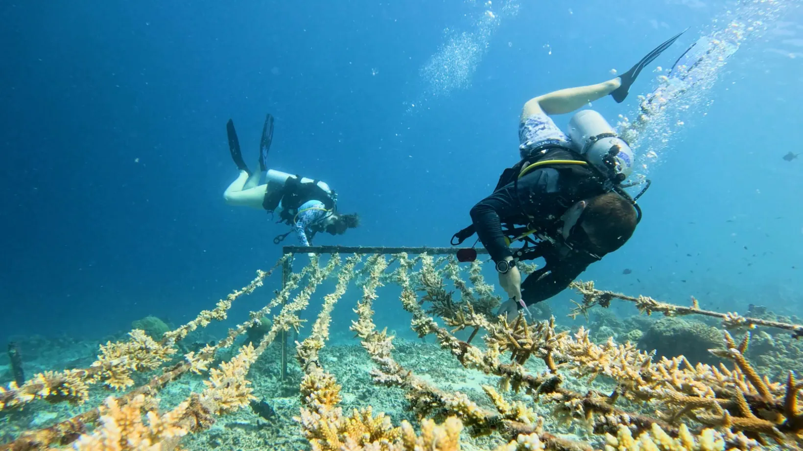 A home for marine conservation A home for marine conservation