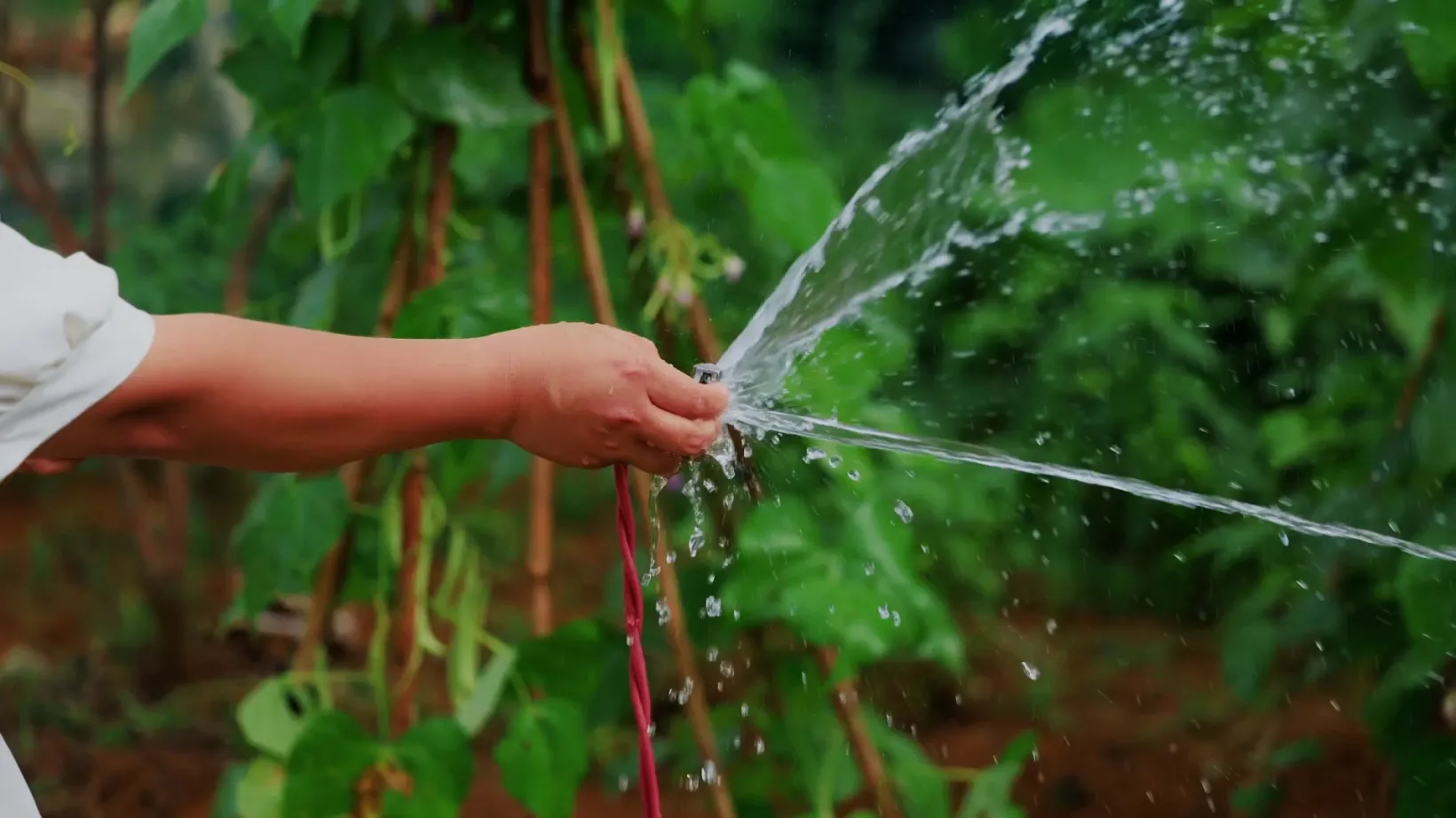 A Vital Source of Water