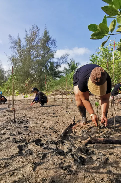 greening communities phuket