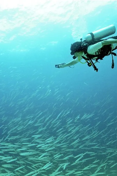 diving
