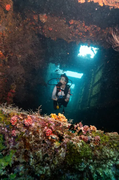 scuba