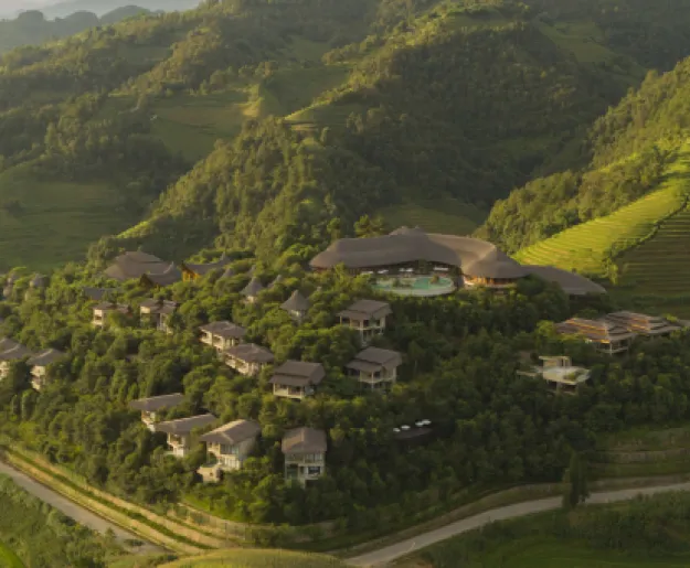 Garrya Mu Cang Chai