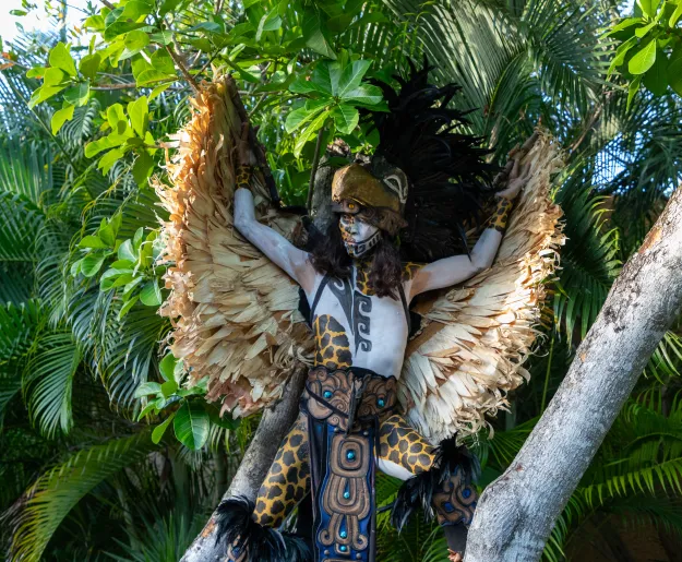 The Haab dining experience at Banyan Tree Mayakoba