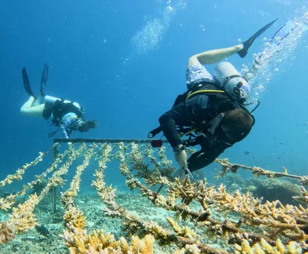 A home for marine conservation