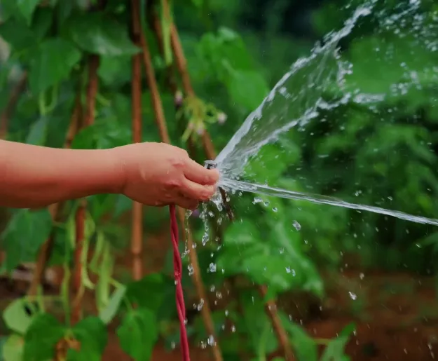 A Vital Source of Water