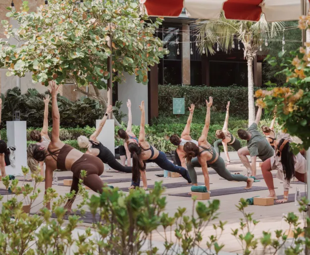 WELLBEING DAY-RETREAT WITH SAMADHI