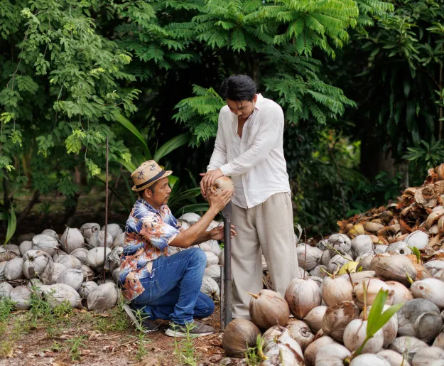 Explore the coconut heritage of Koh Samui