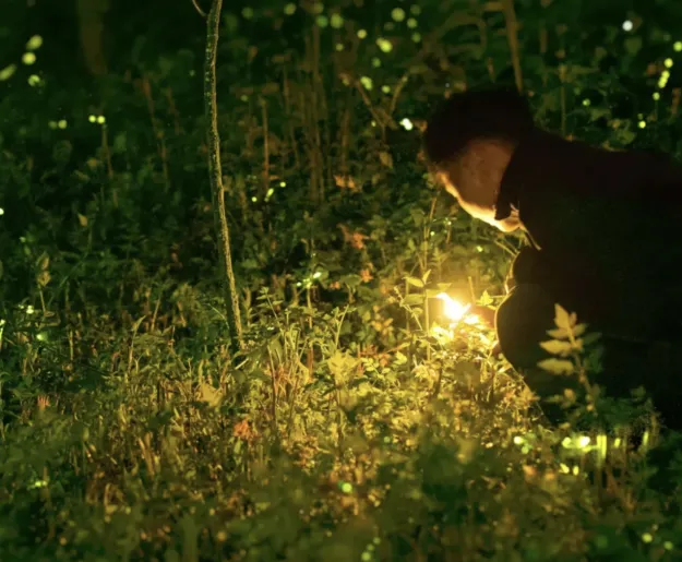 Firefly Conservation in Bali