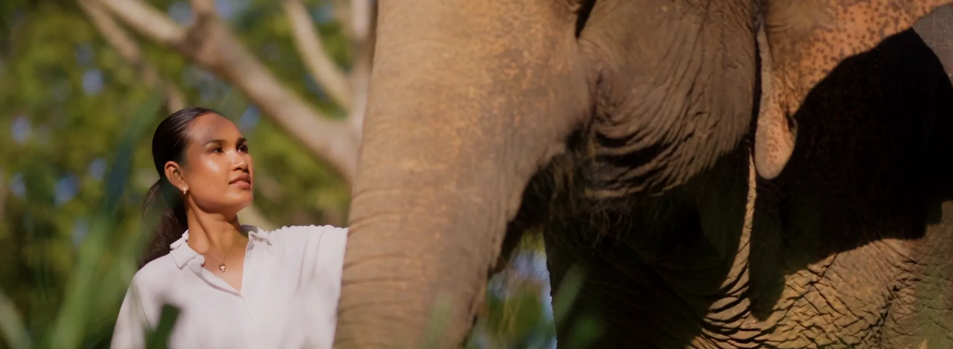 A visit to the elephant sanctuary with Garrya Tongsai Bay Samui