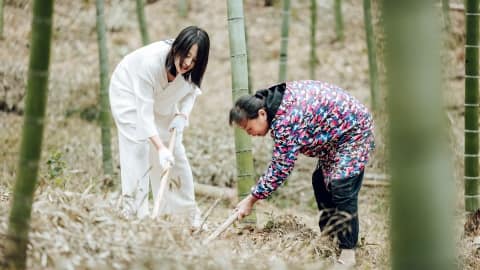 Explore bamboo forests at Banyan Tree Anji