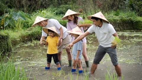 Get hands-on in Bali's famed rice paddies at Homm Saranam Baturiti