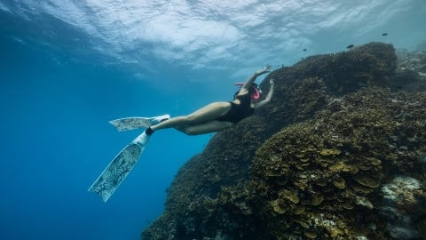 diving at Dhawa Ihuru