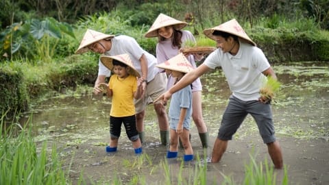 Rice planting at Homm Saranam Baturiti