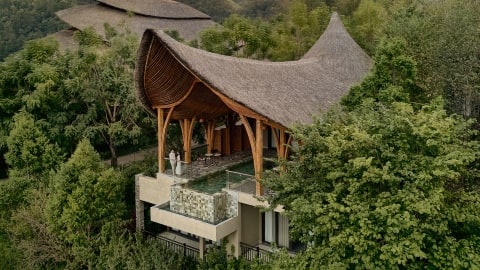 Garrya Mù Cang Chải 