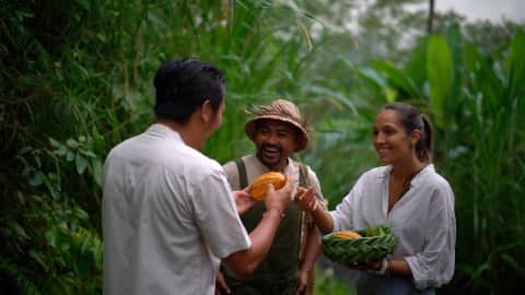 A group of three foraging outdoors in the natural surroundings at Buahan, a Banyan Tree Escape