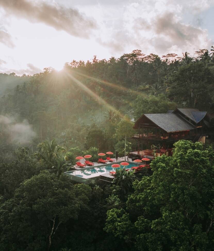 Banyan Tree Escape