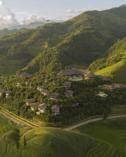 Garrya Mu Cang Chai