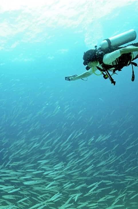 diving