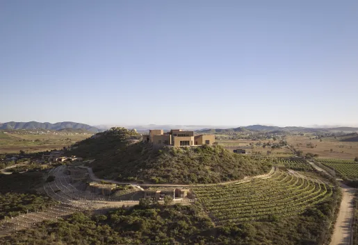 Banyan Tree Veya Valle de Guadalupe