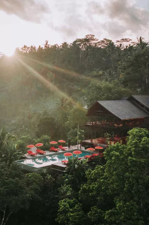 Banyan Tree Escape